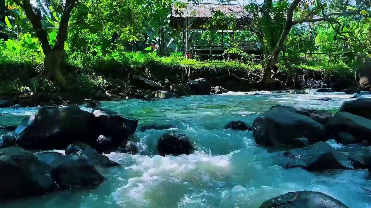 Relaxing River Flow with Birds Chirping for Concentration and Sleep