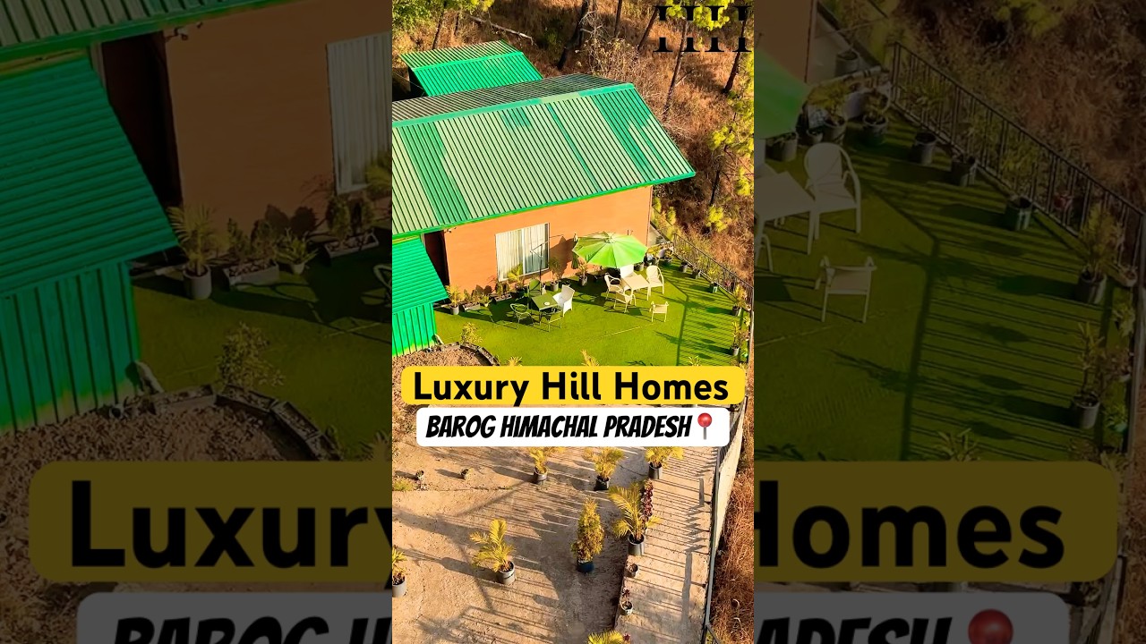 Flats for Sale in Barog Himachal | Furnished Homes with Valley Views 