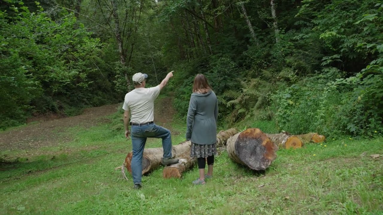 Permaculture Design for Forestry - Flow Diagrams