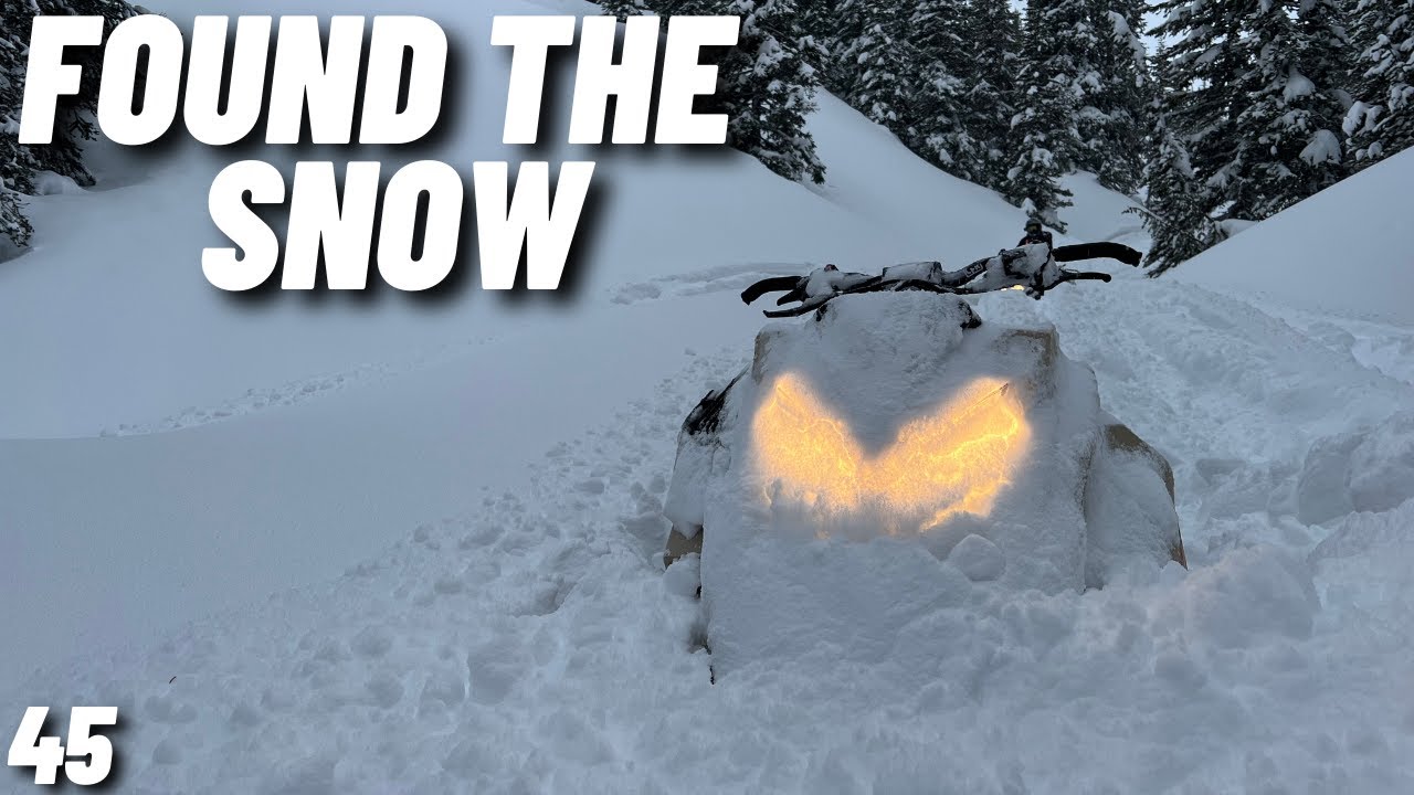 In Search Of Fresh Tracks