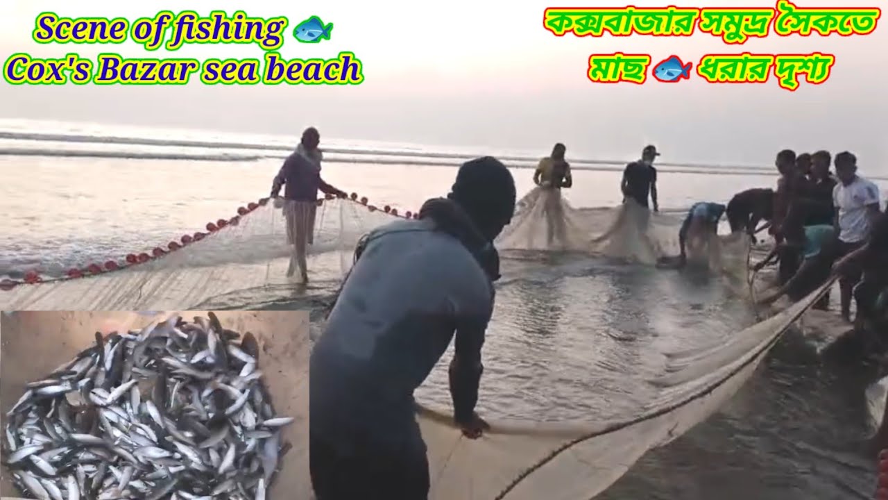 OMG|Big Net Fishing Scene at Cox's Bazar Sea Beach|সমুদ্রে মাছ ধরার দৃশ্য| Fishing lover
