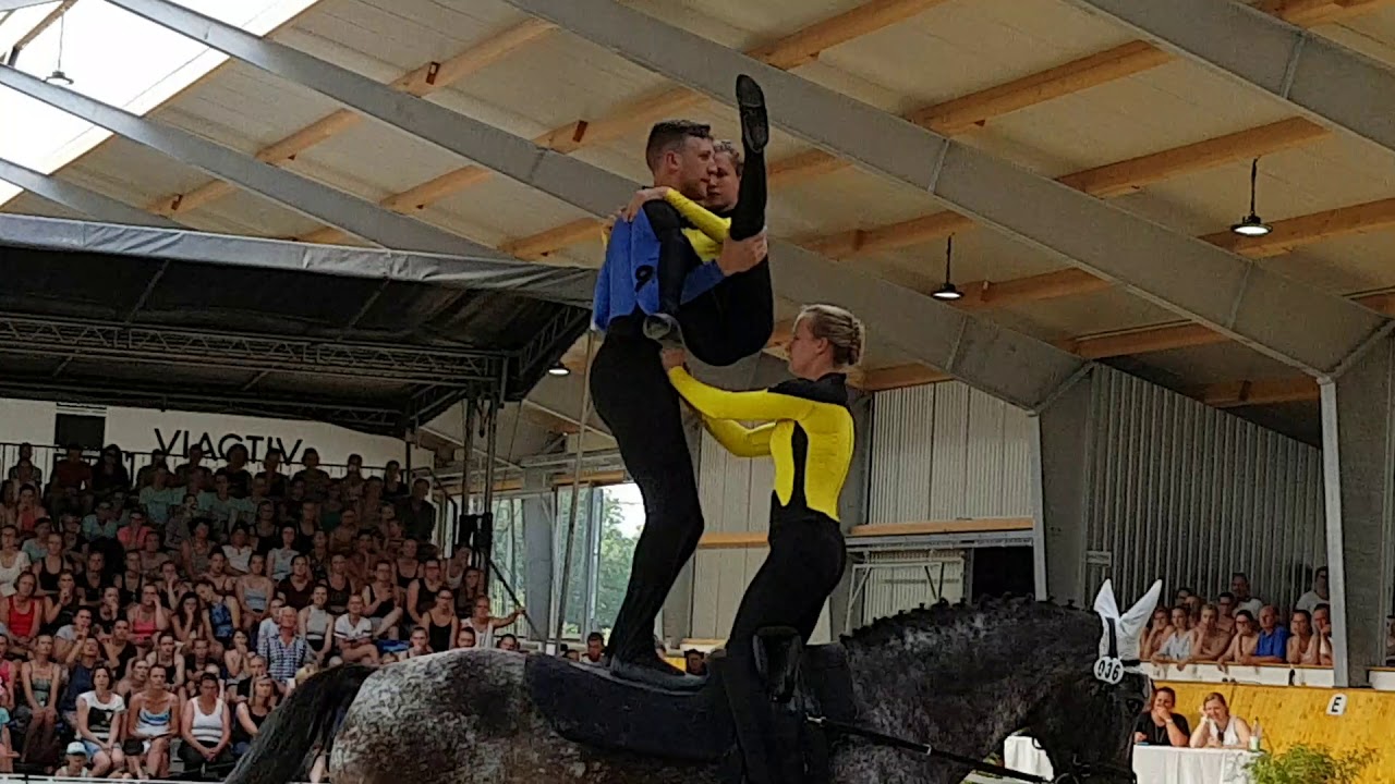 Finale Westfälische Meisterschaft 2019 Team Princ