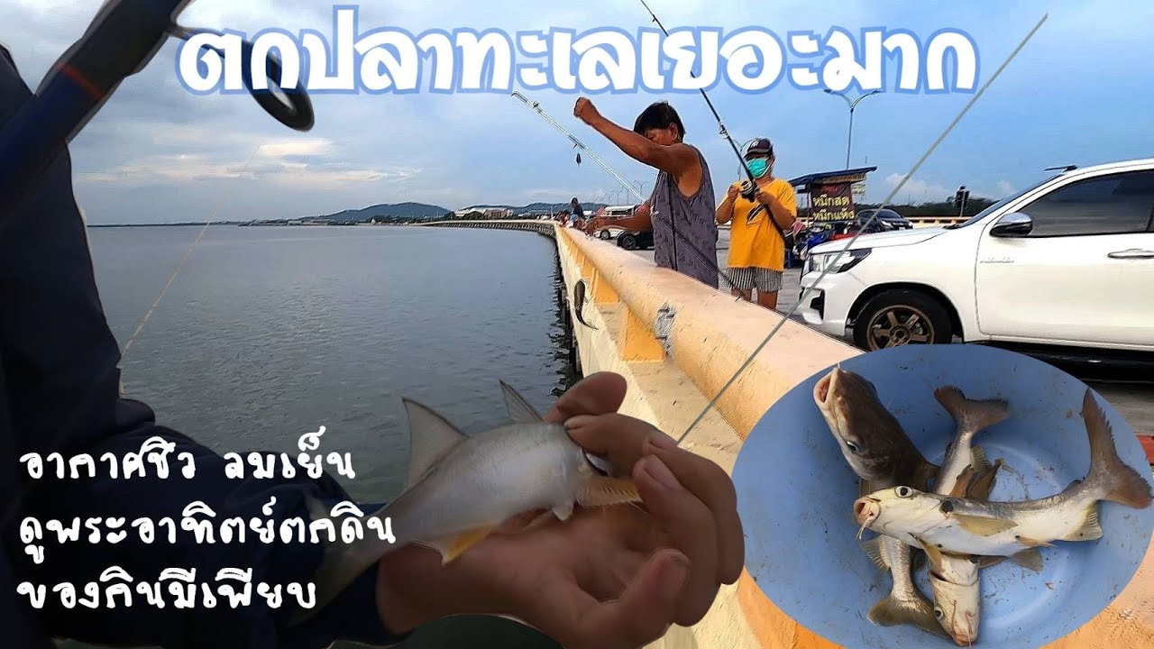ตกปลาทะเล สะพานใหม่ชลบุรี ลมเย็นๆ นั่งดูพระอาทิตย์ตกดินสวยๆ ปลาเยอะมากๆ : หลงทางมา EP.014
