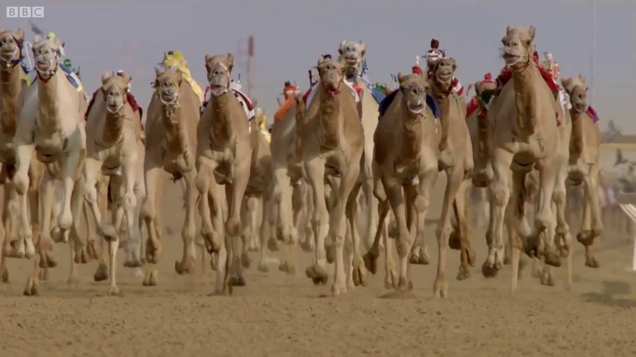 Darude - Sandstorm (unofficial music video)