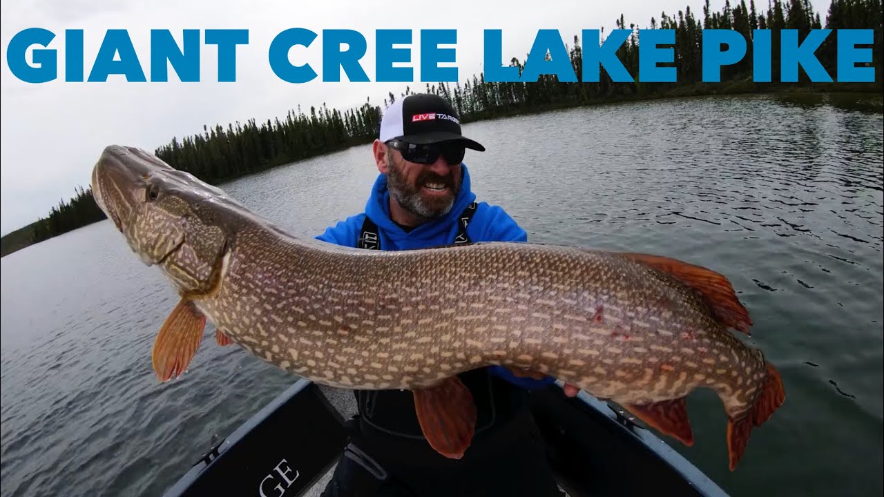 THE BACK BAY BEASTS OF CREE LAKE - Dave Mercer's Facts of Fishing THE SHOW Season 12 Full Episode