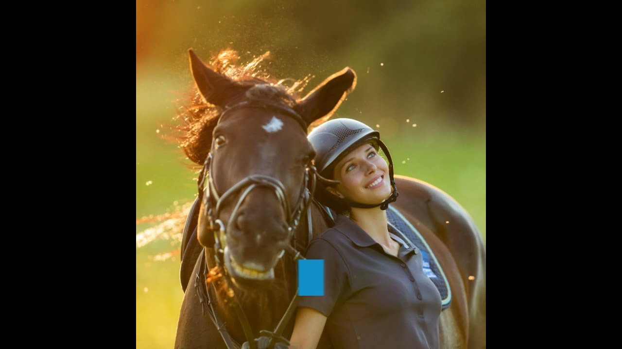 Dream Job in the Horse Industry