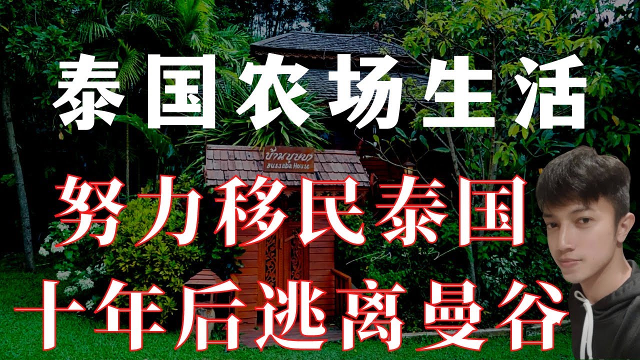 【泰国生活十年】为何逃离曼谷？夜宿素叻他尼乡间农场，给你答案！