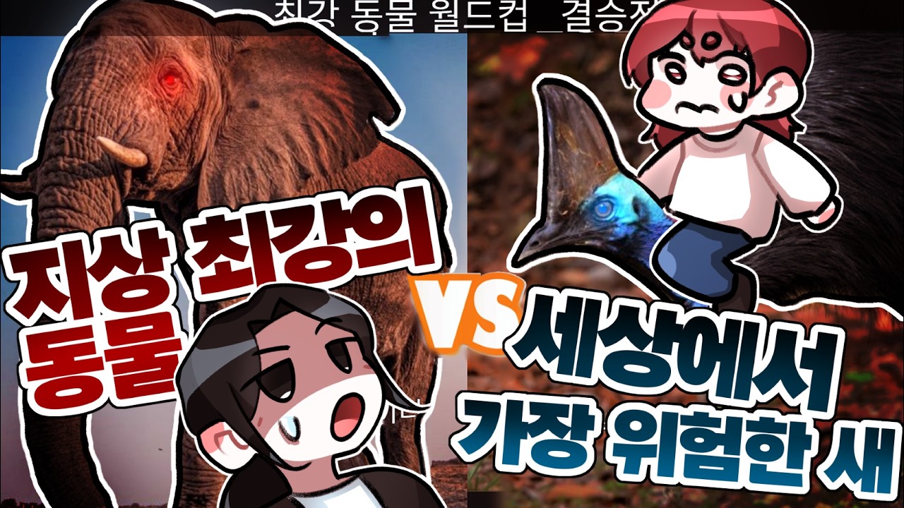 레전드 동물들로 밸런스게임하기 ㅋㅋㅋㅋㅋㅋ