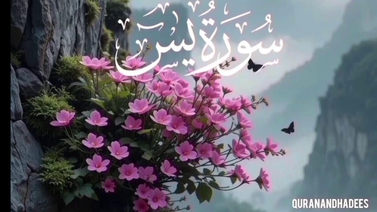 Surah Yaseen full | Quran ka dil | Dil ka sakoon deny wali |