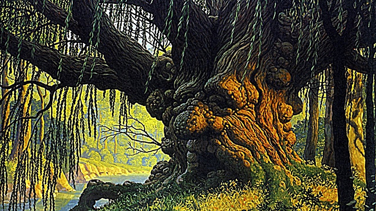 16 самых древних деревьев на Земле