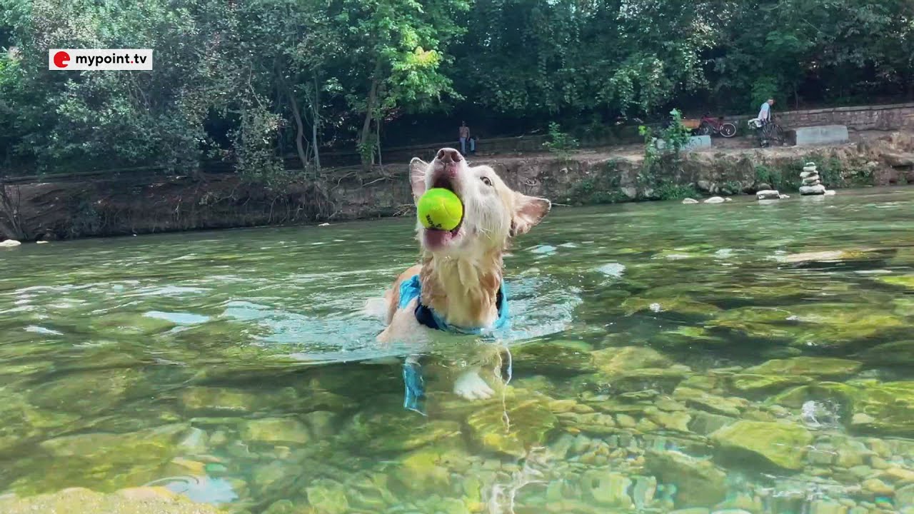 Top 5 Safe & Fun Outdoor Activities to do in Austin