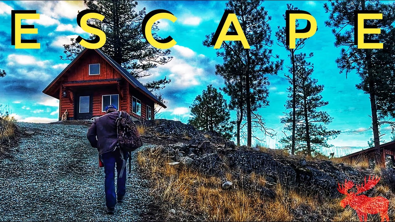 My First Night in a Cozy Off Grid Cabin…that I Built Alone.