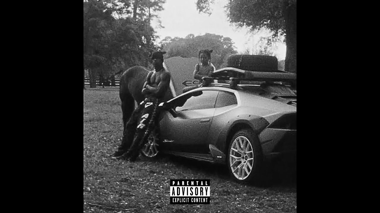 [FREE] TRAVIS SCOTT x DON TOLIVER TYPE BEAT - SKYFALL