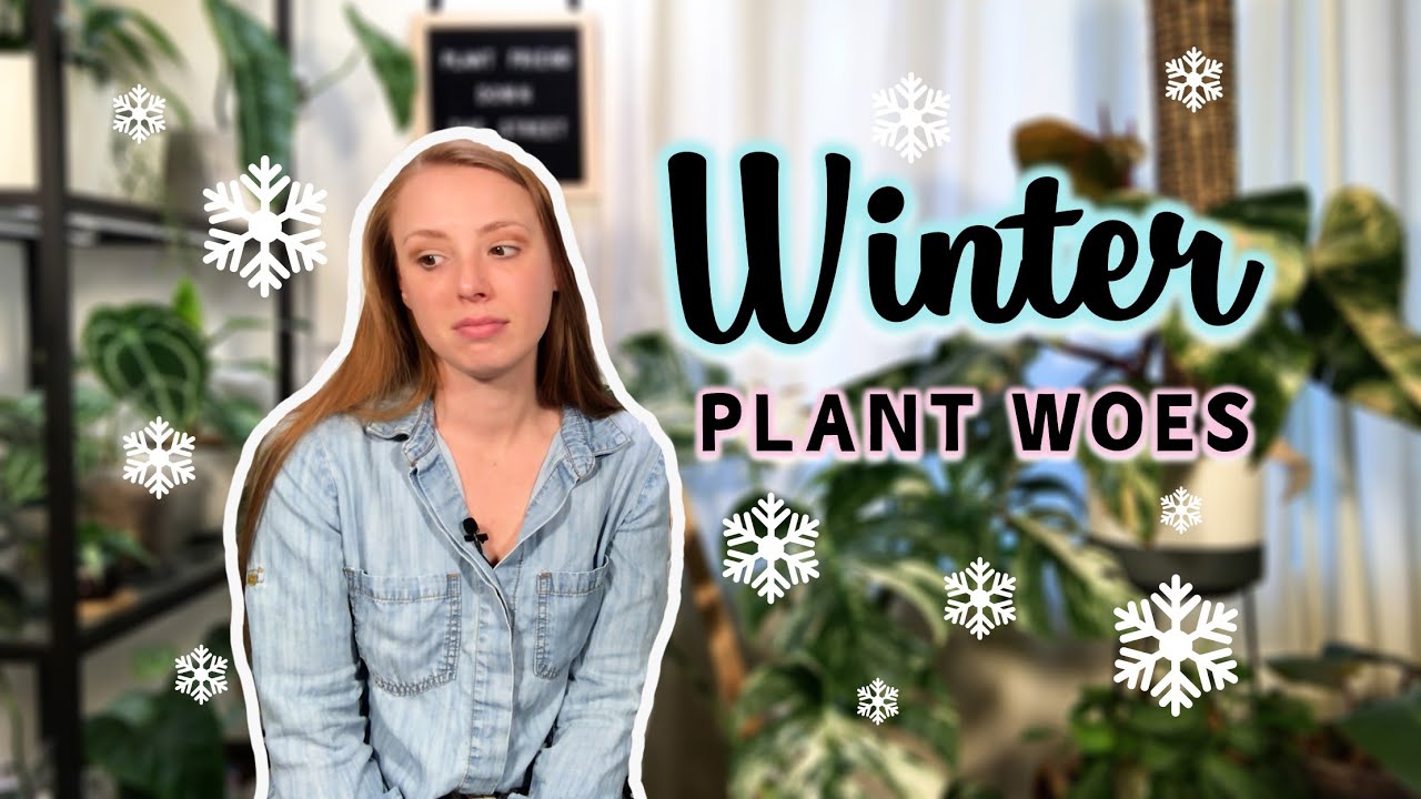 Winter Plant Woes | You Are Not Alone