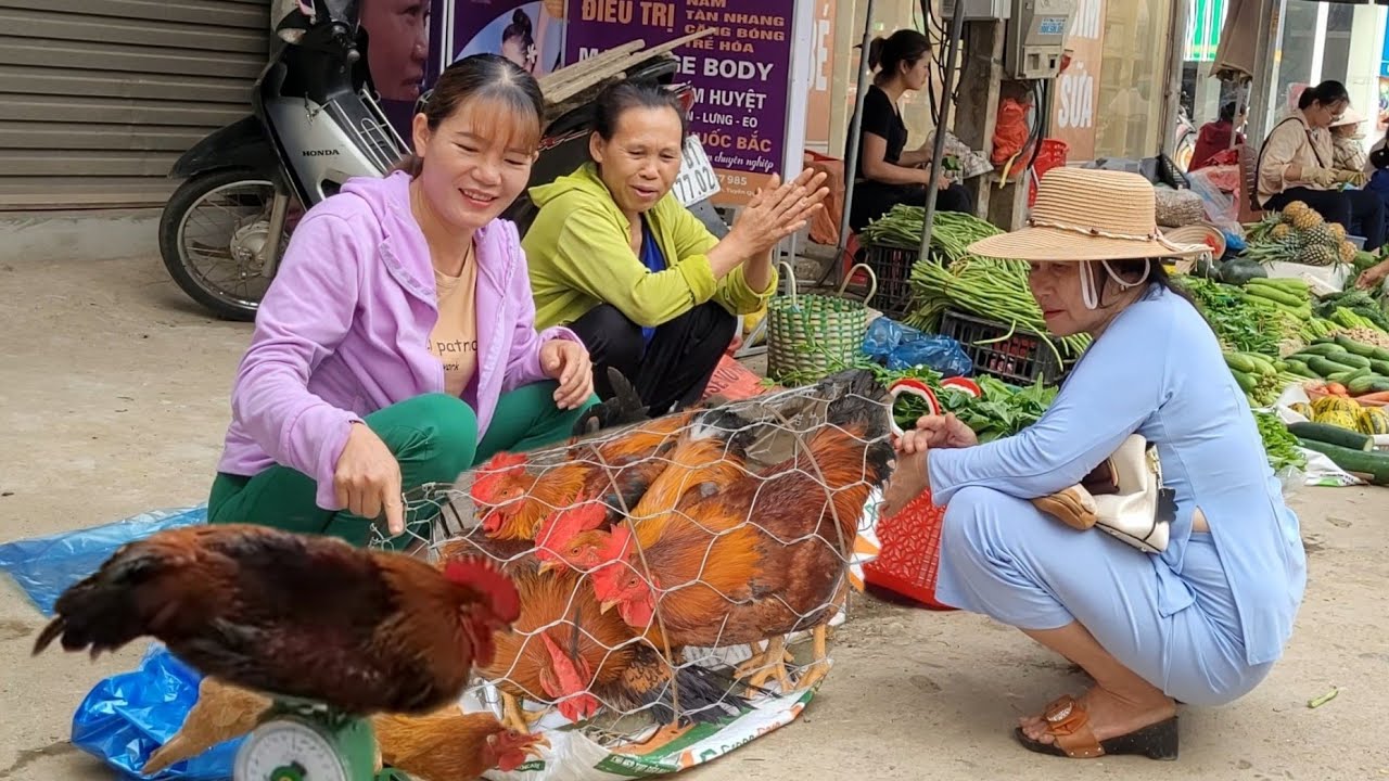 Chicken breeding.  Free-range broiler products are chosen by consumers.  (Episode 159).