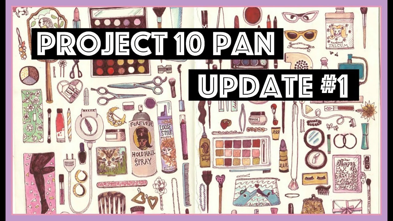 Project Pan Update 1