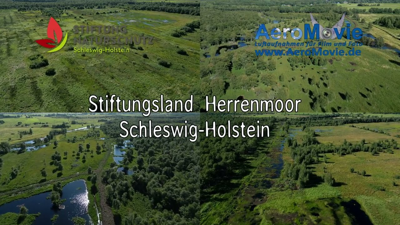 Stiftungsland Herrenmoor Schleswig-Holstein