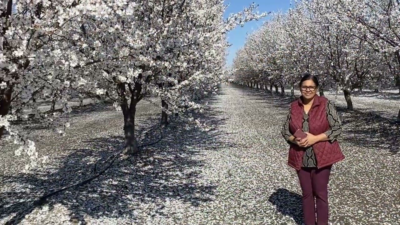 It's Spring