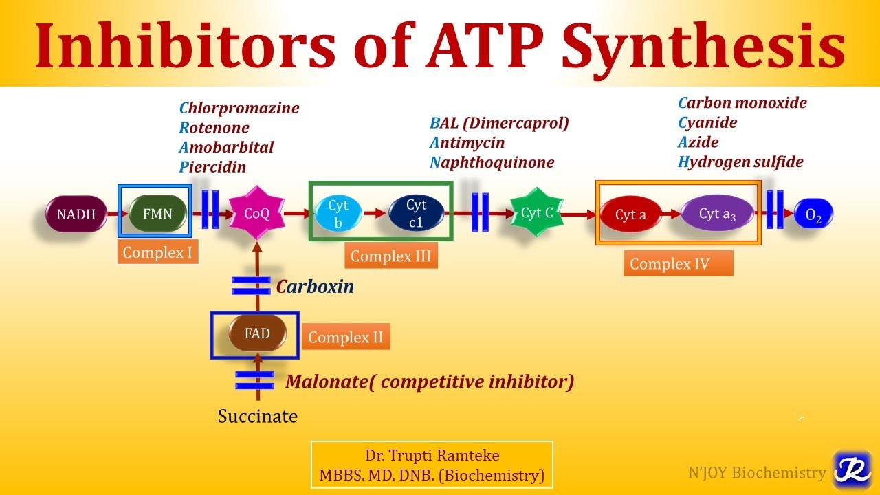 4: Inhibitors of Electron Transport Chain & Oxidative Phosphorylation | Biological Oxidation