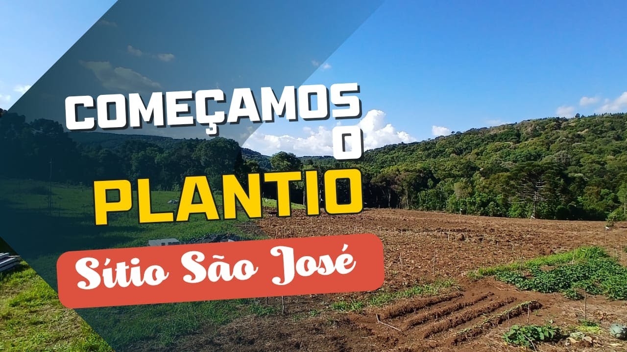 Como Cultivamos no Sítio: Plantio com Carbon Fak #Carbonfak539 #SemVeneno#VidaNoSítio#agro