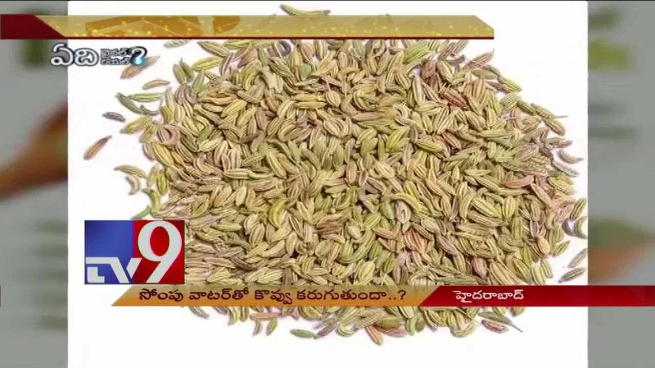 Fennel seed water will help you lose weight - TV9