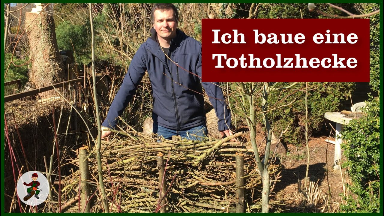 Eine Totholzhecke bauen