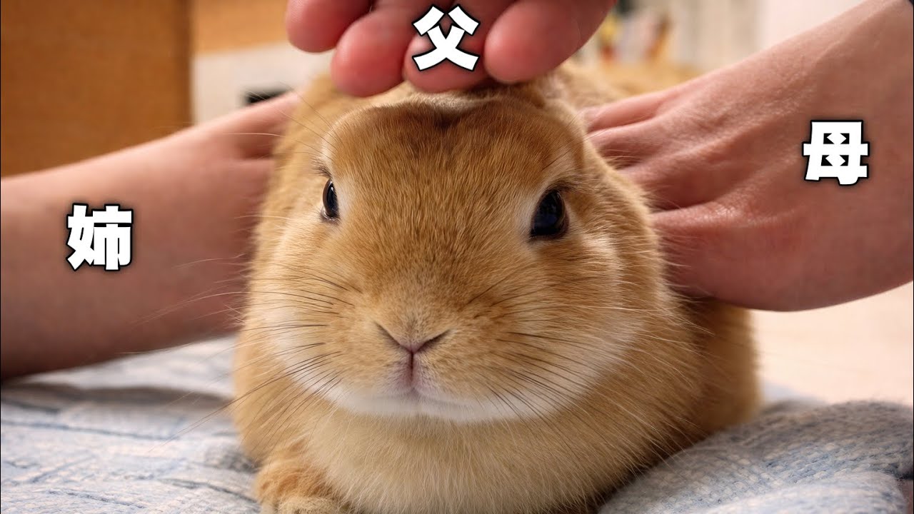 家族総出で可愛がったら、こうなりました