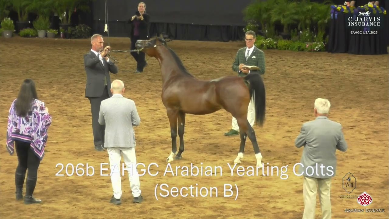 EAHGC USA 2025   Class 5B