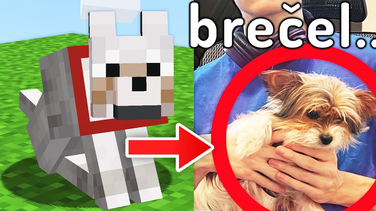 Dal Jsem SIRYAKARIMU RE&Aacute;LN&Eacute;HO Minecraft PSA!
