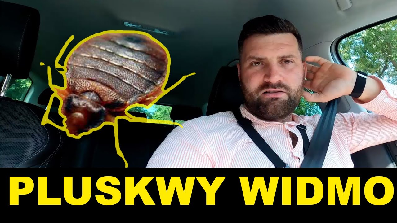 TEST NA PLUSKWY JAK WYKONAĆ???  - jak pozbyć się pluskiew - pluskwa domowa  - spos&oacute;b na pluskwy