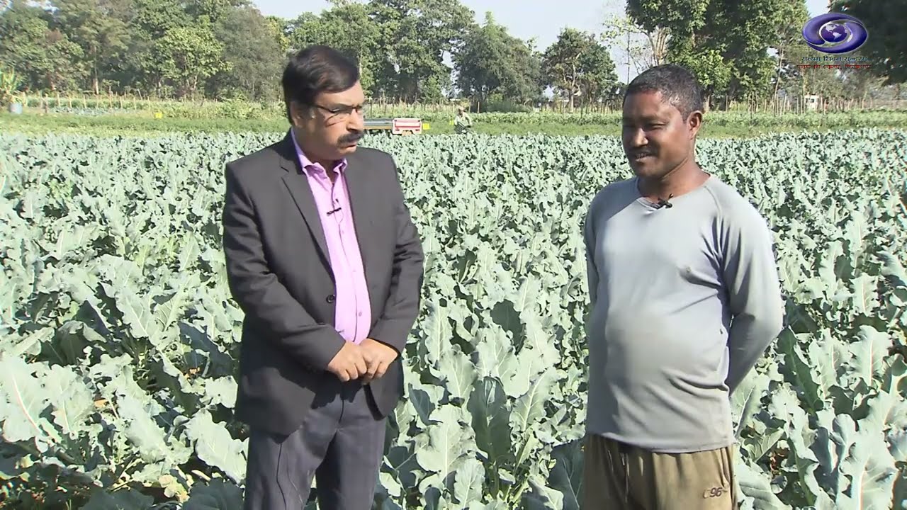 BIGYAN SANMATA BHABE SHAK PASOLIR  KHETI - Docu. II DDK Dibrugarh Presents