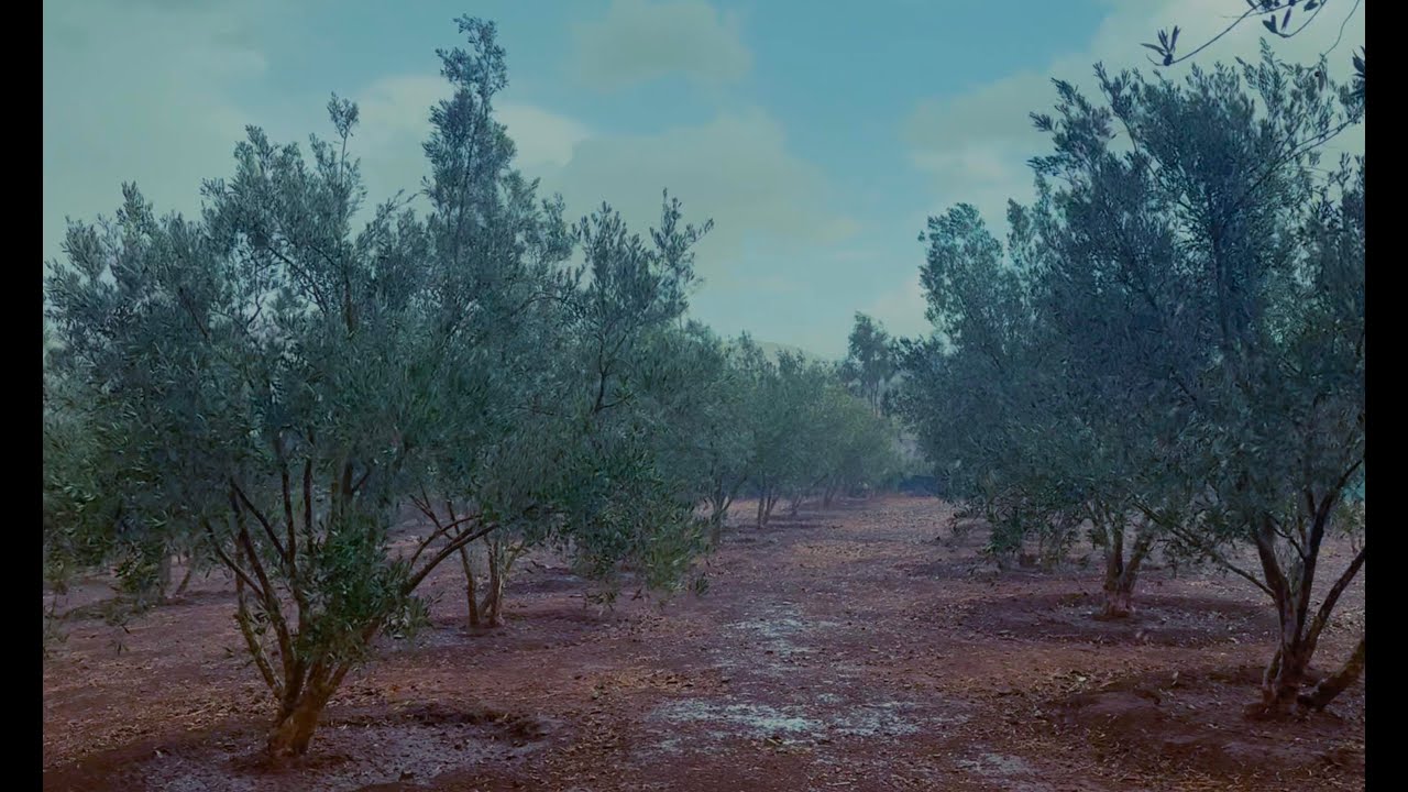 نهار بدا عادي… حتى سمعت صوت الشتا