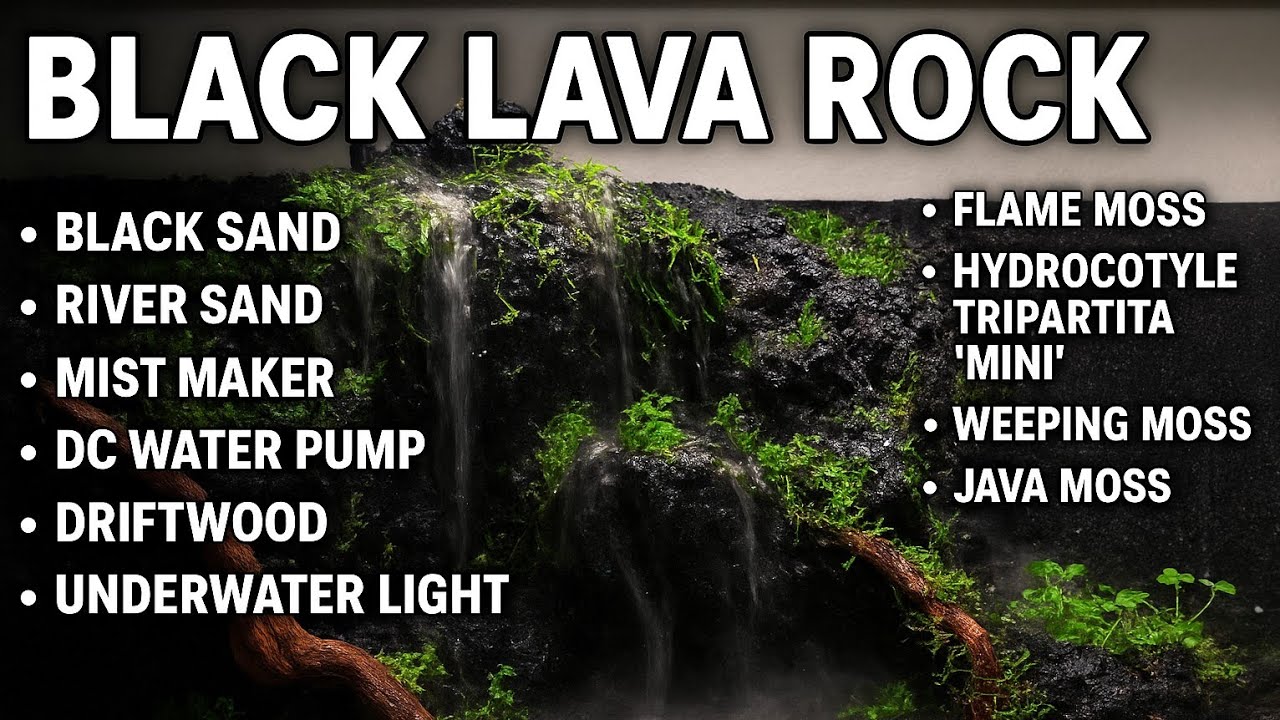 🏞️The Lost Misty Mountain – A Living Waterfall Inside Glass#diy #youtubeshorts #trending#aquascaping