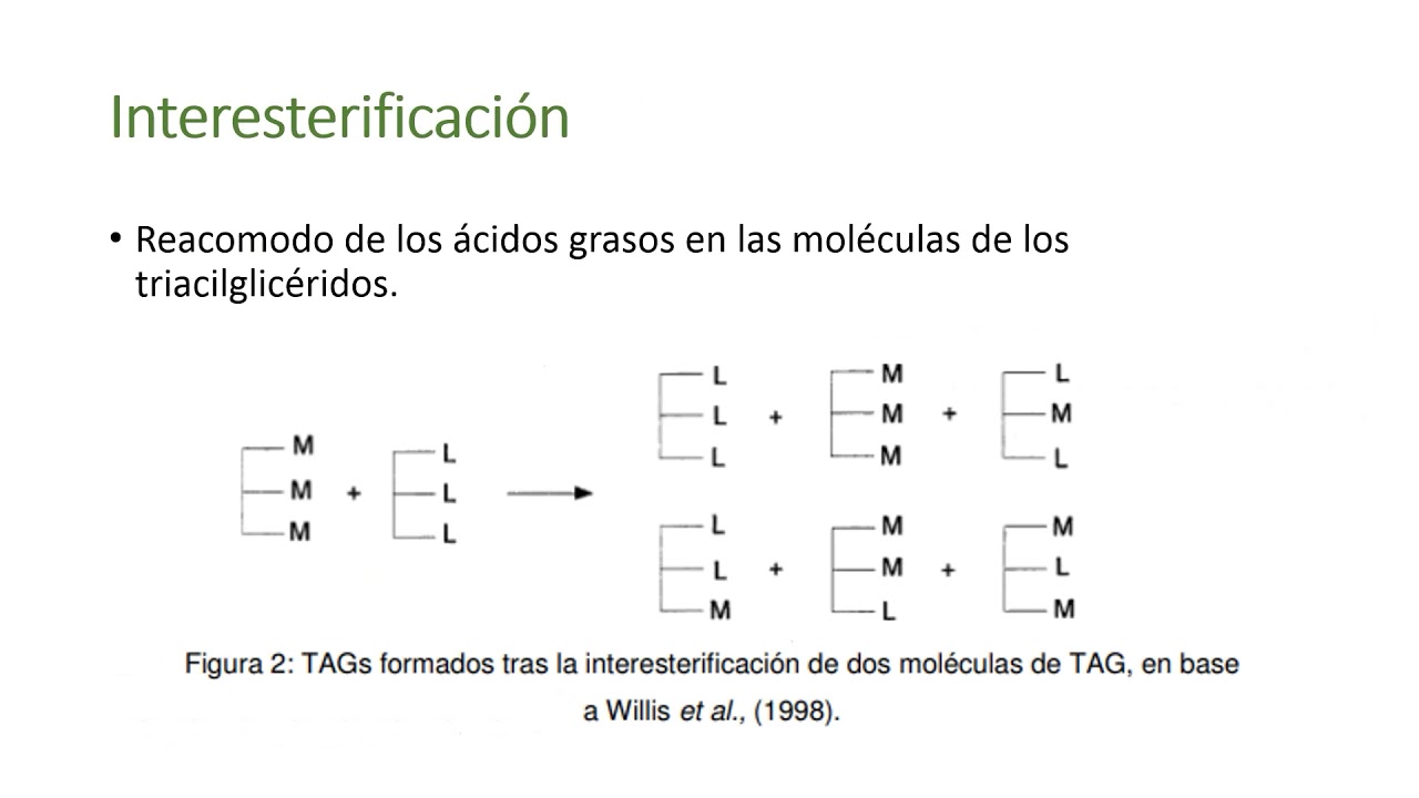 Modificación de grasas y aceites