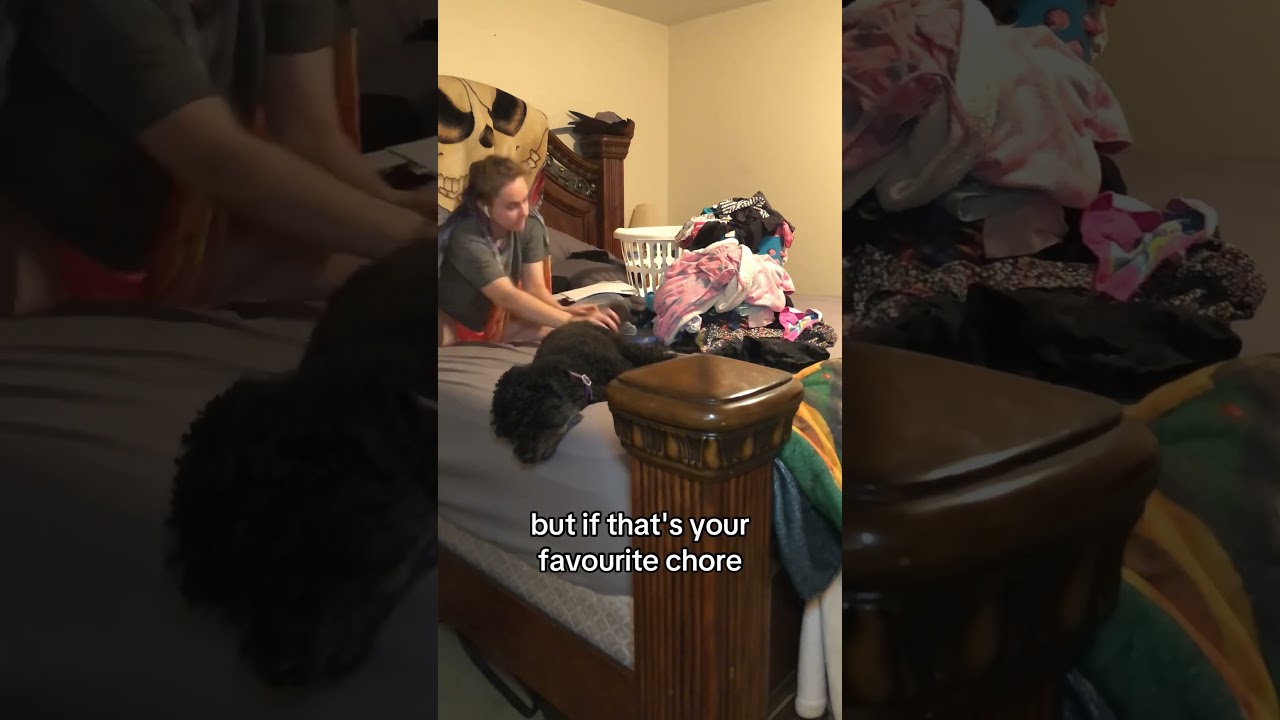 Laundry day is my least favorite chore day. 