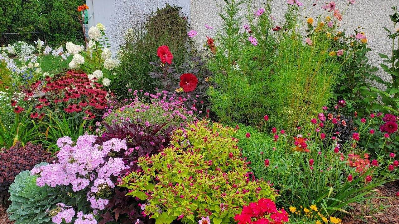 Pollinator Garden Tour Mid-August, Minnesota Zone 4