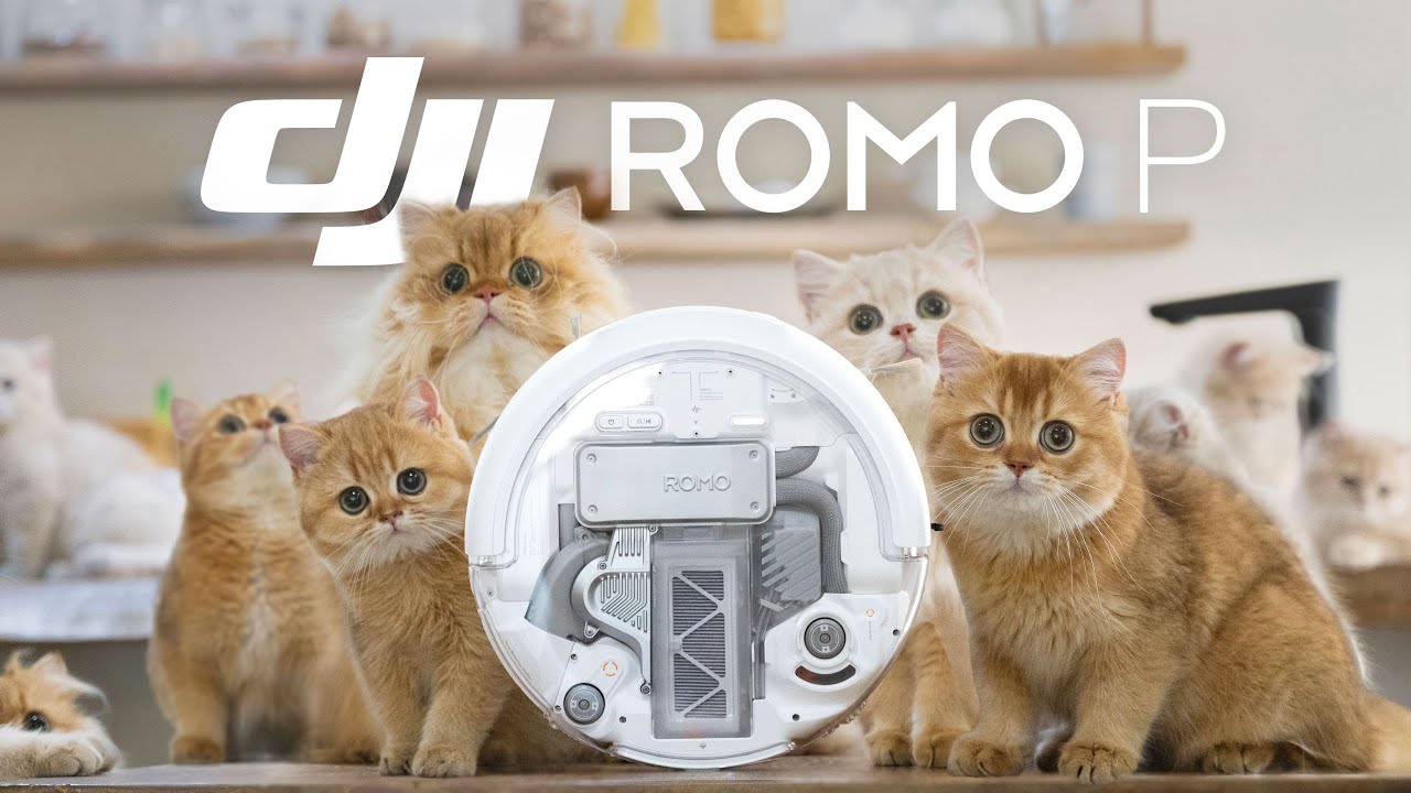 家有11只猫猫，它能顶住吗？｜大疆ROMO P深度体验
