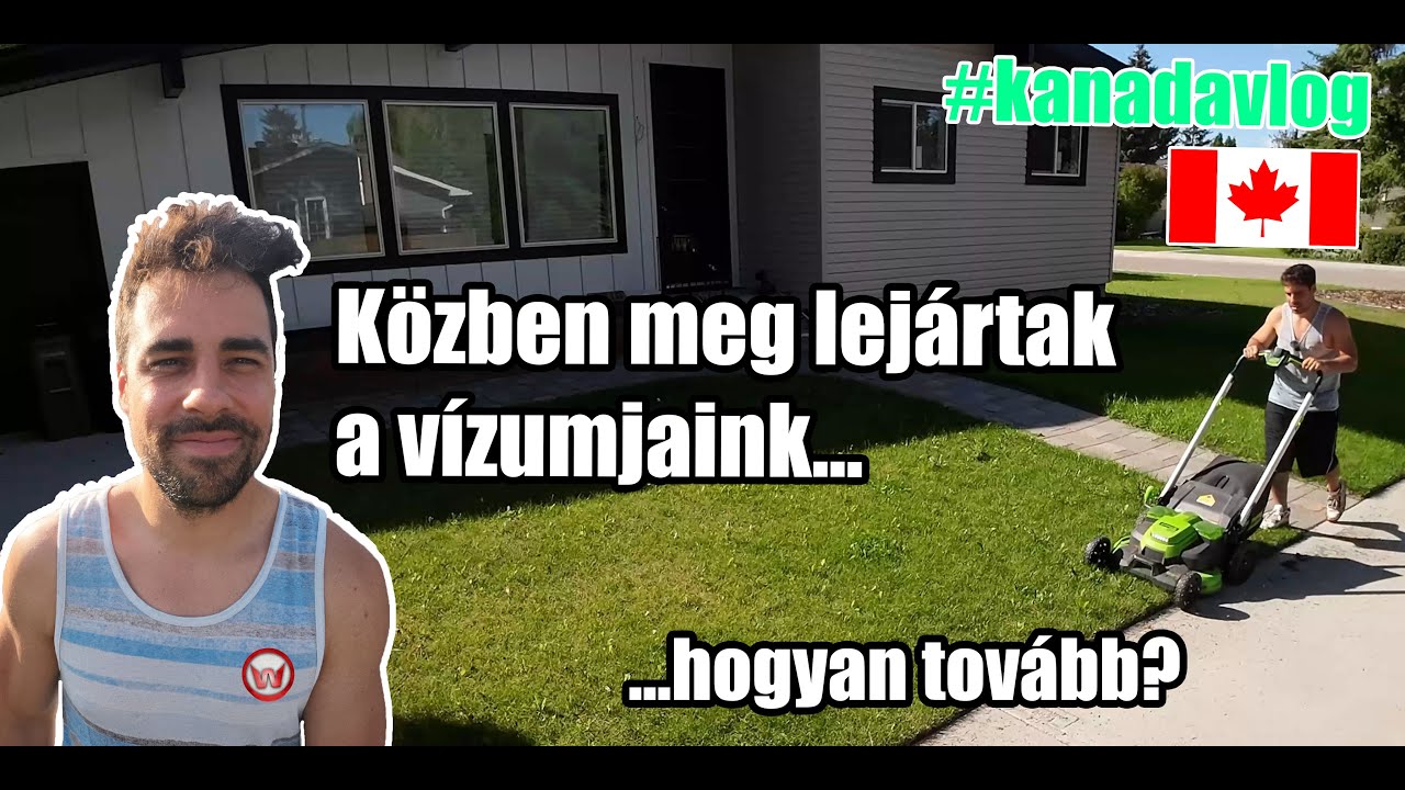 Tarts velem az egyik napomon a kanadai kert&eacute;szv&aacute;llalkoz&aacute;somban.