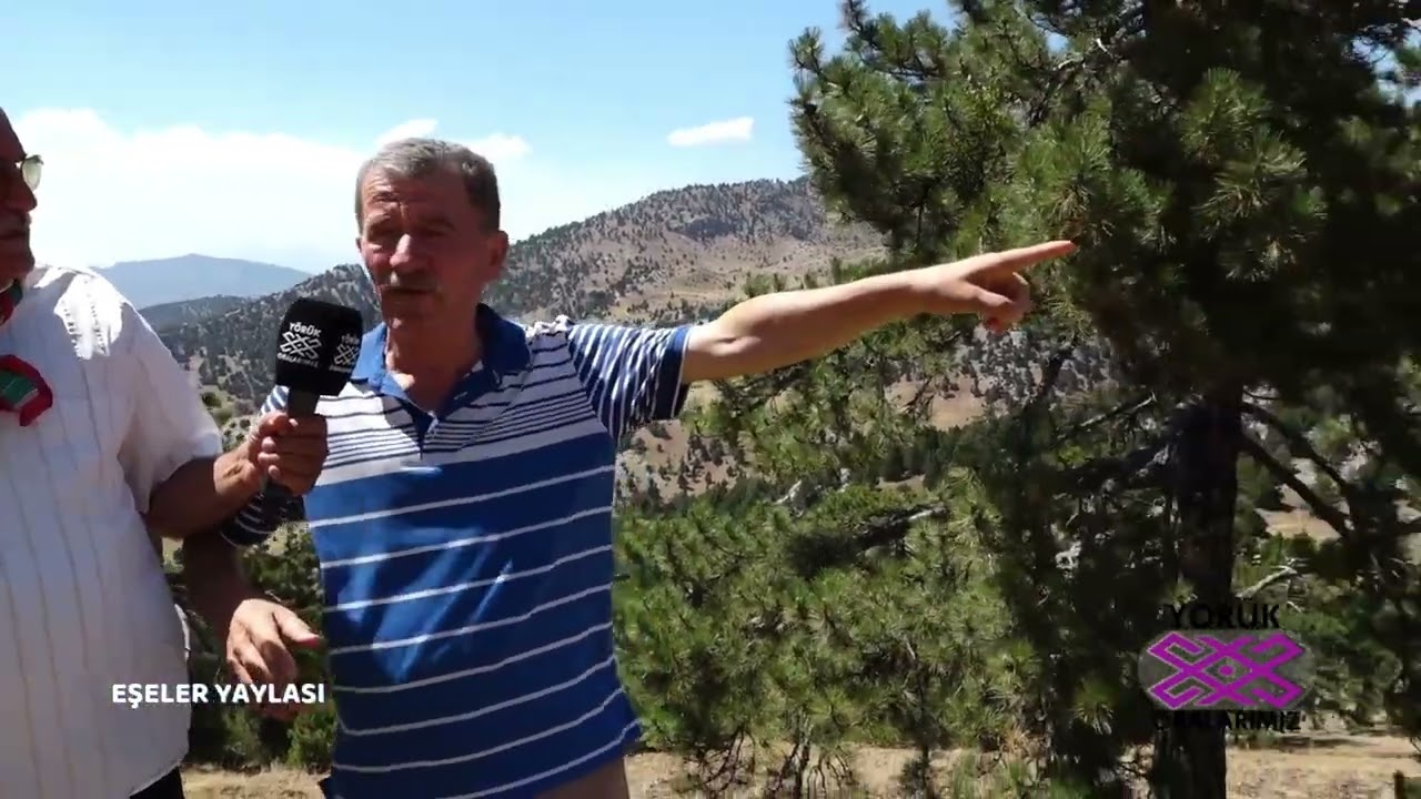 EŞELER YAYLASI KARAÇULHA YAYLASI  KOZACI YAYLASI  2 BÖLÜM