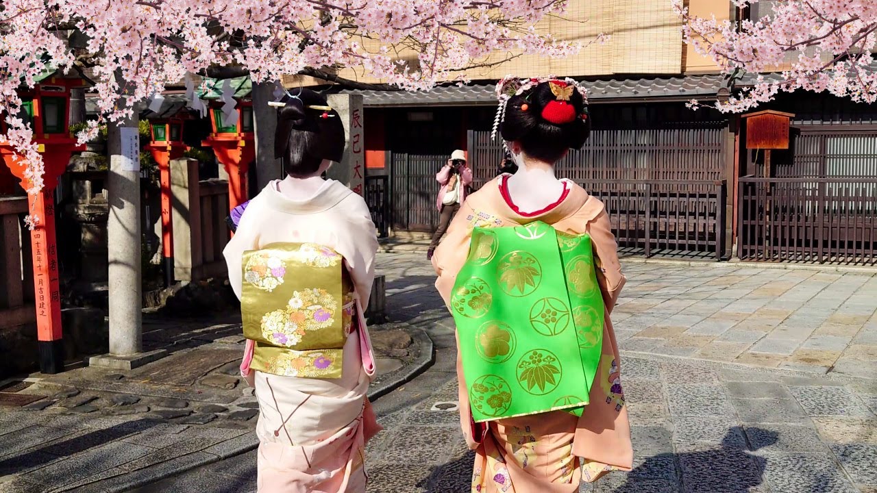 Geisha Walk in Gion Shirakawa of Kyoto | Sakura | 春の京都、祇園白川・巽橋の桜と外国人観光客と舞妓さん、海外の反応