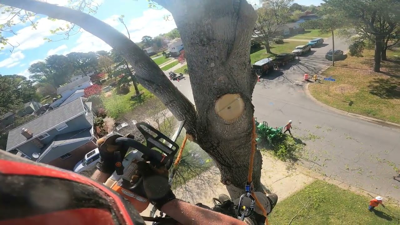 Whats faster Climbing or the bucket truck. You decide!!
