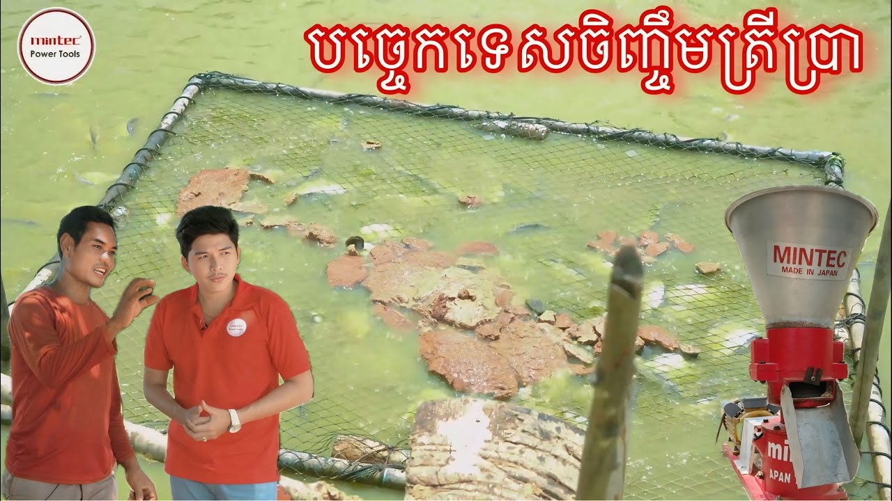 បច្ចេកទេសចិញ្ចឹមនិងផលិតចំណីត្រីប្រានៅខេត្តកំពង់ធំ