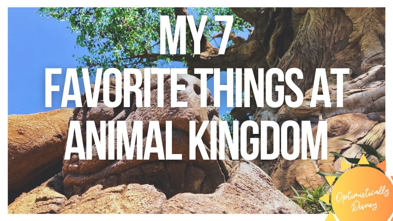 Мои 7 любимых вещей в мире животных