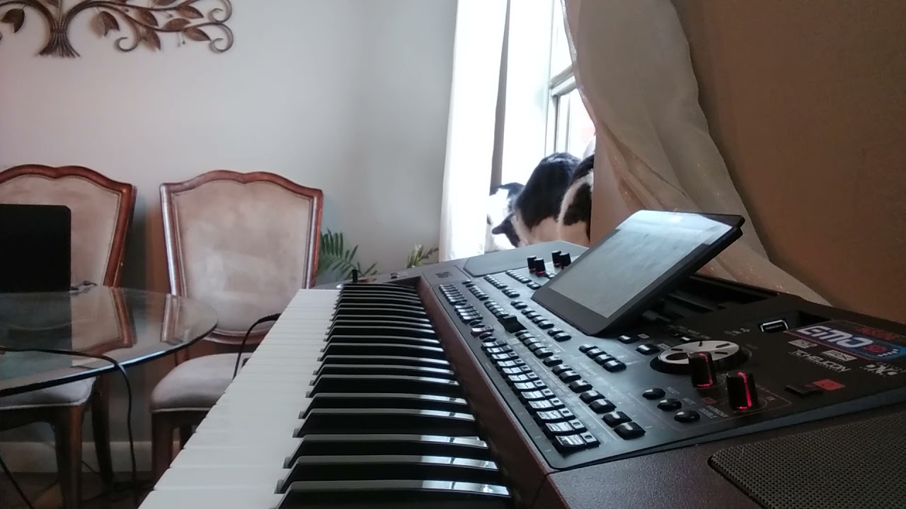 Boynu Bükükler - Ka me te vra Korg pa1000 Instrumental Turkish & Albanian music PopArabesk style