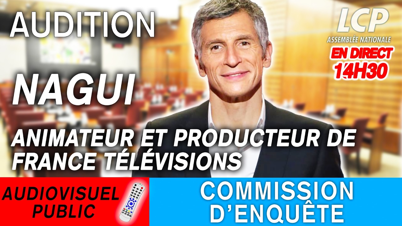 [DIRECT] Audiovisuel public : audition de Nagui - 01/04/2026