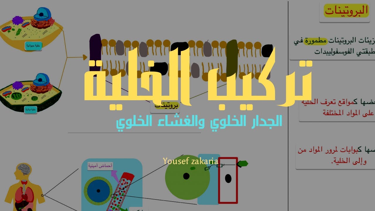 الجدار الخلوي والغشاء الخلوي