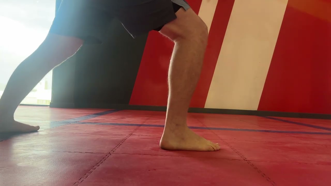 JF26 .015 - Basic Rope Flow in basic karate stances
