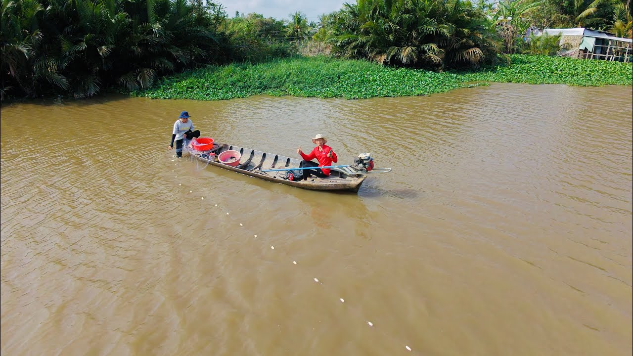 Thả Lưới Nổi Trên Sông Lớn,Cá Thác Lác Chiên Sả #cuocsongmientay #fishing #ngovannhan 