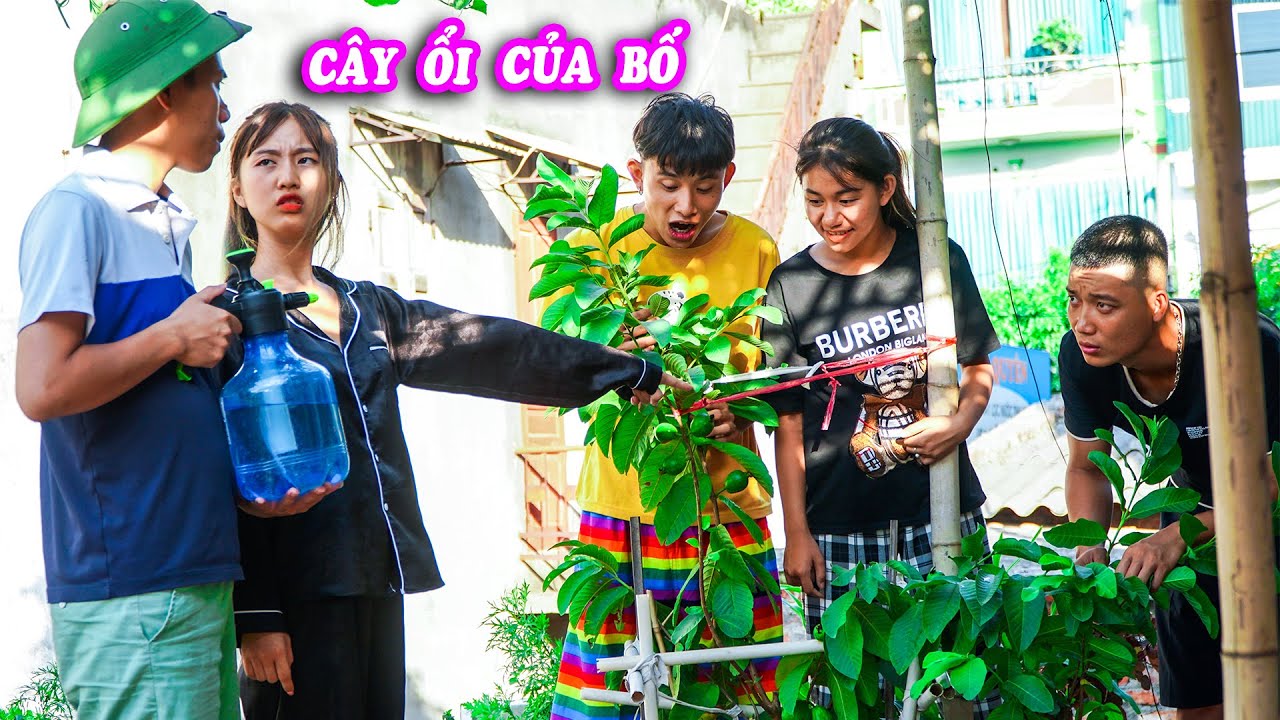 Cây Ổi Của Bố !!! Bài Học Không Nên Sử Dụng Đồ Của Người Khác Một Cách Tùy Tiện - Táo Xanh TV