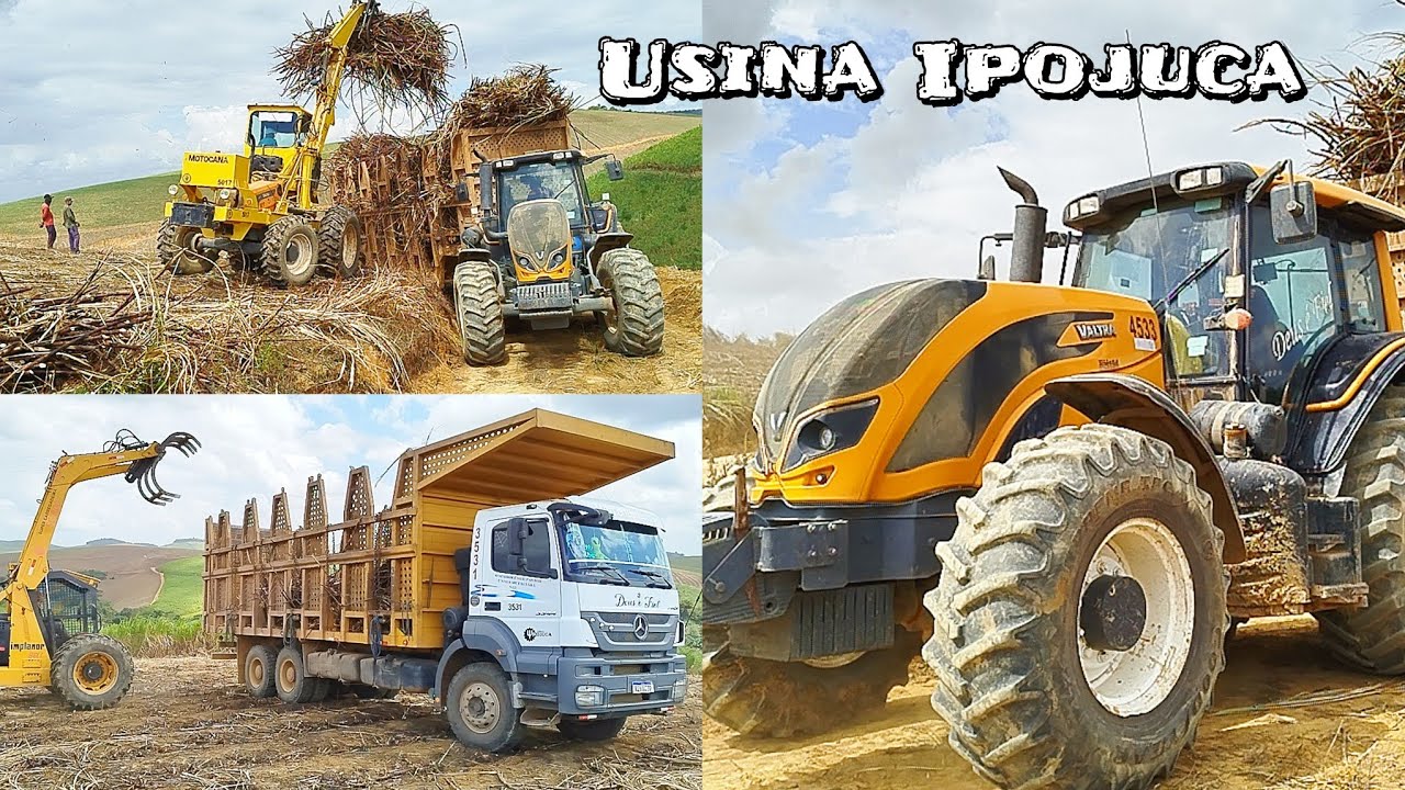 Transporte De Cana De Açúcar Usina Ipojuca 